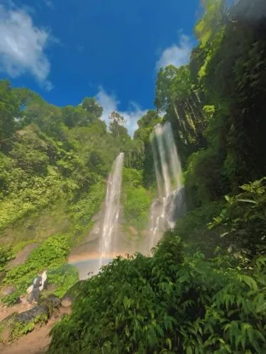 Jungle Canopy Trail